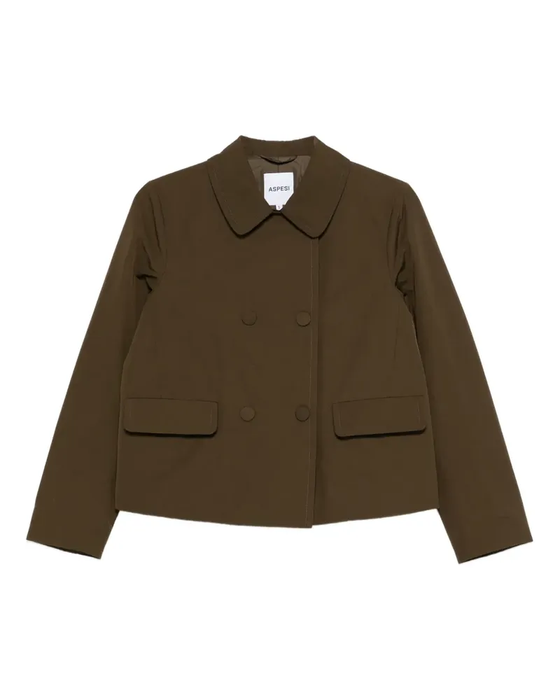 ASPESI Doppelreihige Jacke mit Kragen - Grün Grün