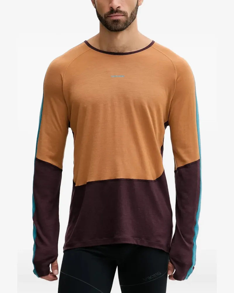 Icebreaker colour-block skiwear - Braun Braun