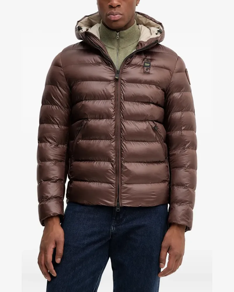 Blauer hooded jacket - Braun Braun