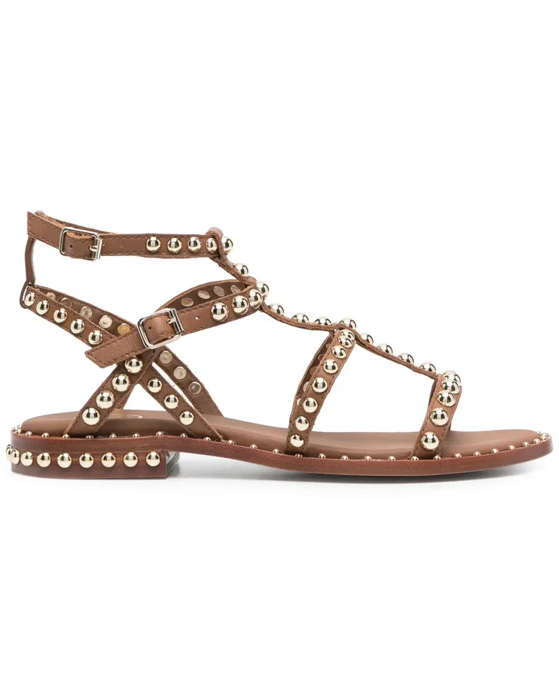 ash Precious Sandalen mit Nieten - Braun Braun