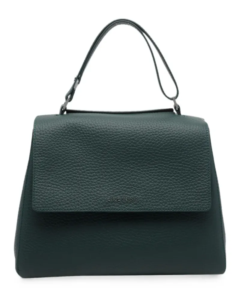 Orciani Sveva leather handbag - Grün Grün
