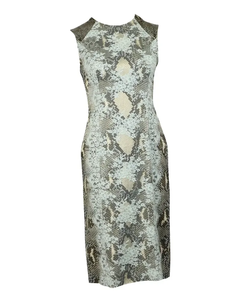 Erdem snakeskin-print midi dress - Grau Grau