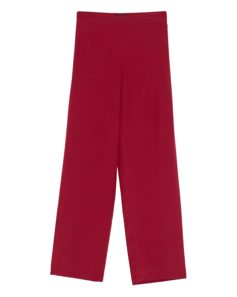 Joseph New Sahal Hose - Rot Rot