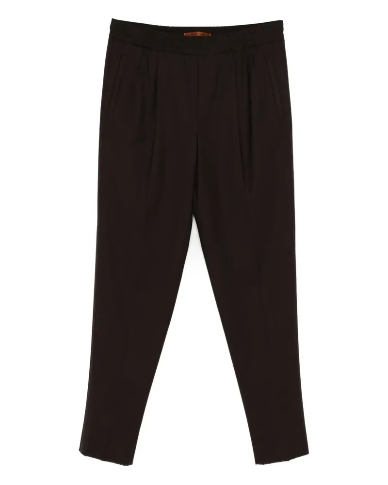 Ermenegildo Zegna elasticated pleated trousers - Braun Braun