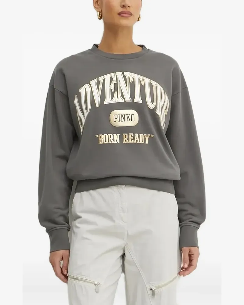 Pinko Klassisches Sweatshirt - Grau Grau