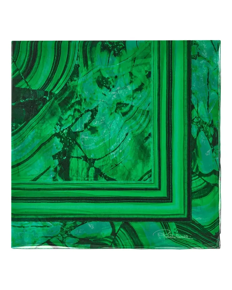 Roberto Cavalli Seidenschal mit Malachit-Print - Grün Grün