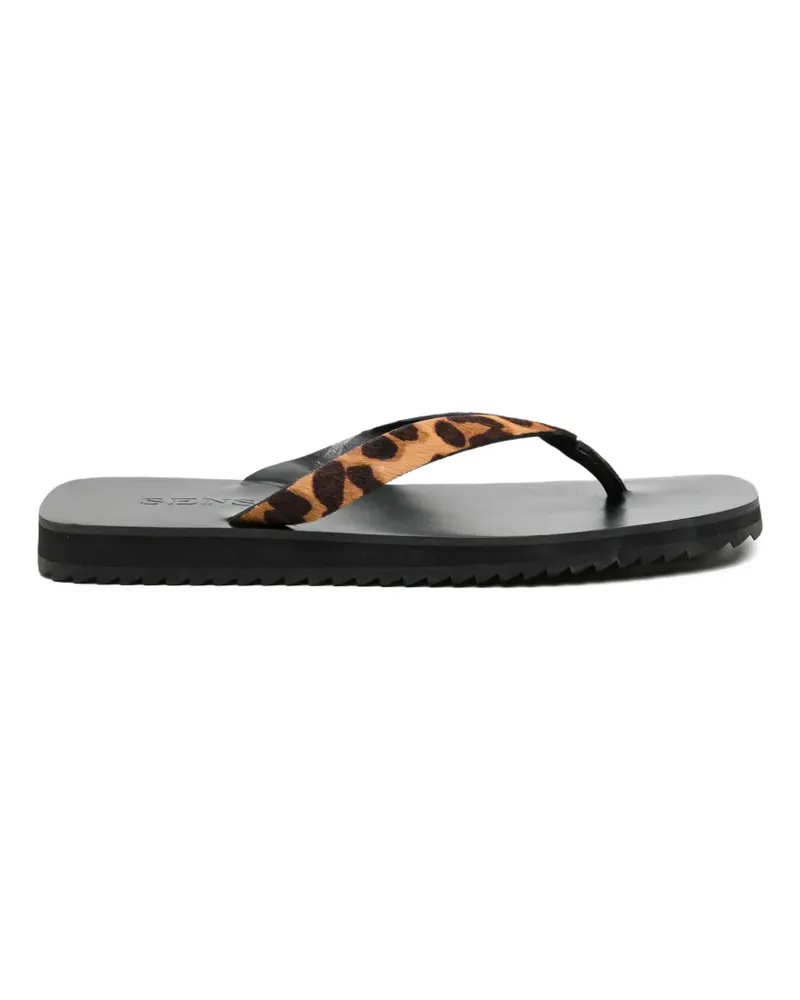 SENSO Xeo ll sandals - Braun Braun