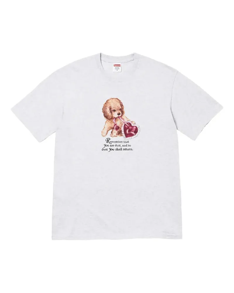 Supreme Being Dust T-Shirt - Grau Grau
