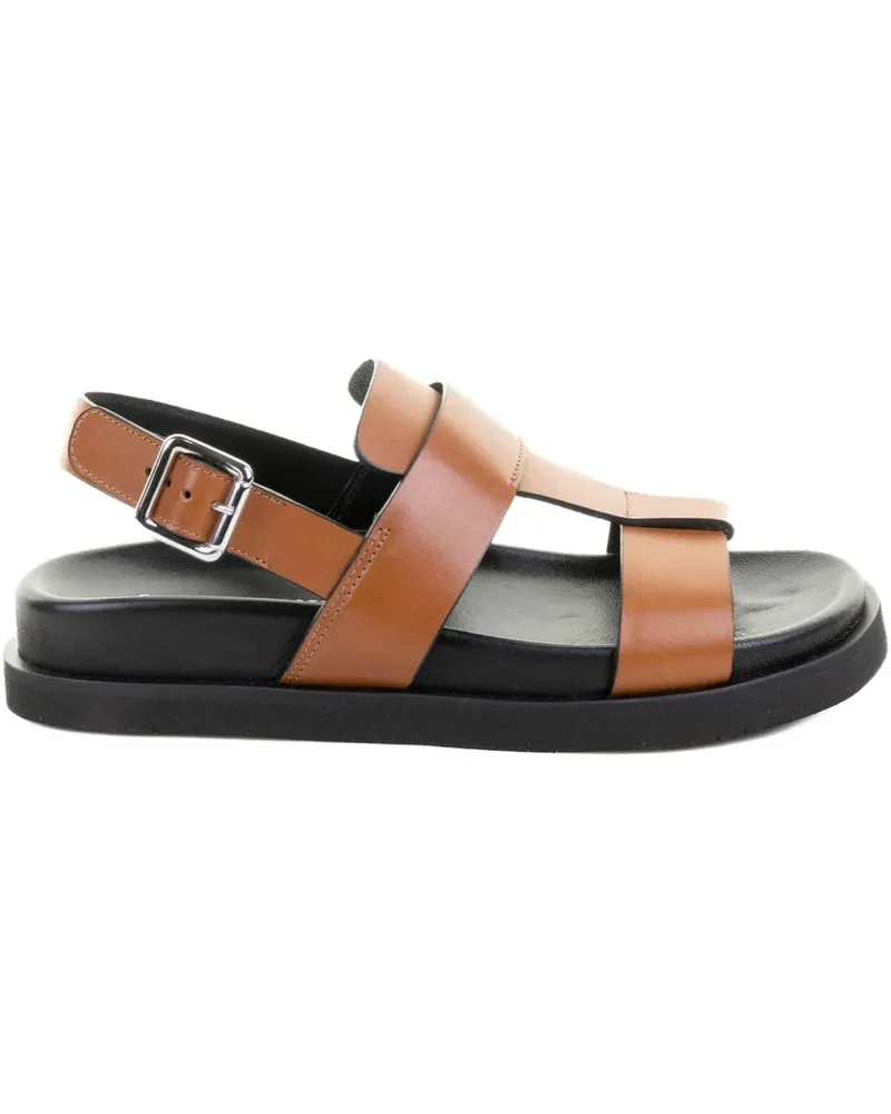 Guglielmo Rotta buckle-fastening leather sandals - Braun Braun