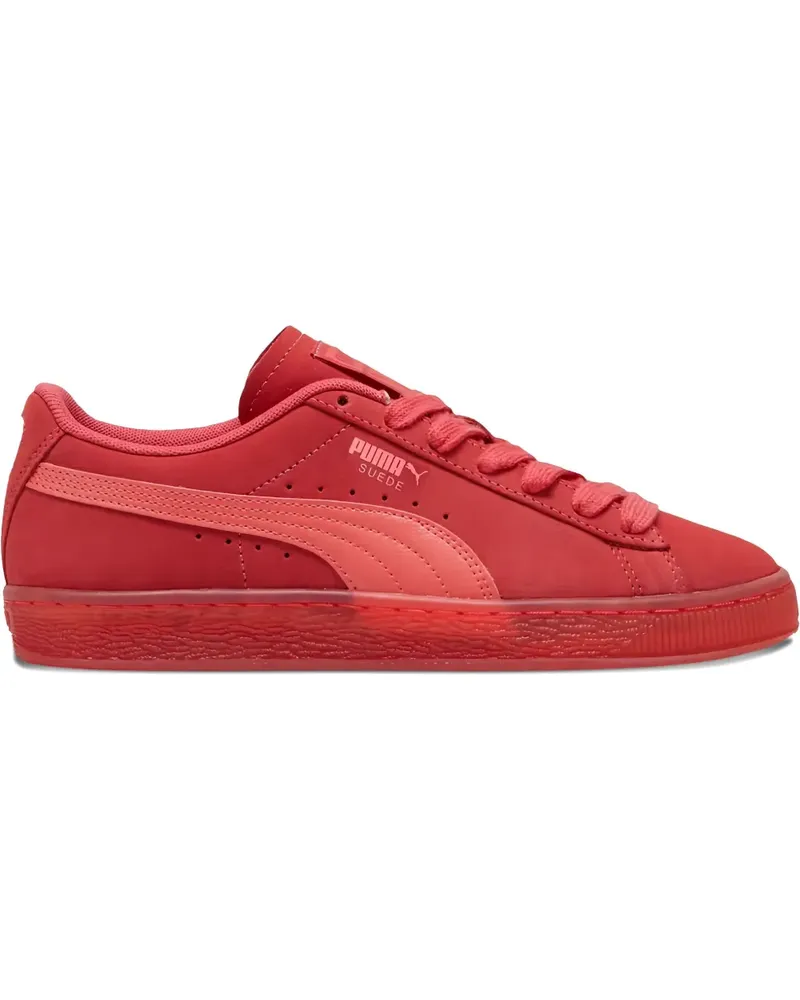 Puma Suede Classic Translucent "Tart Cherry" Sneakers - Rot Rot
