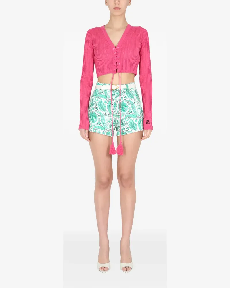 Etro Pullover mit V-Ausschnitt - Rosa Rosa