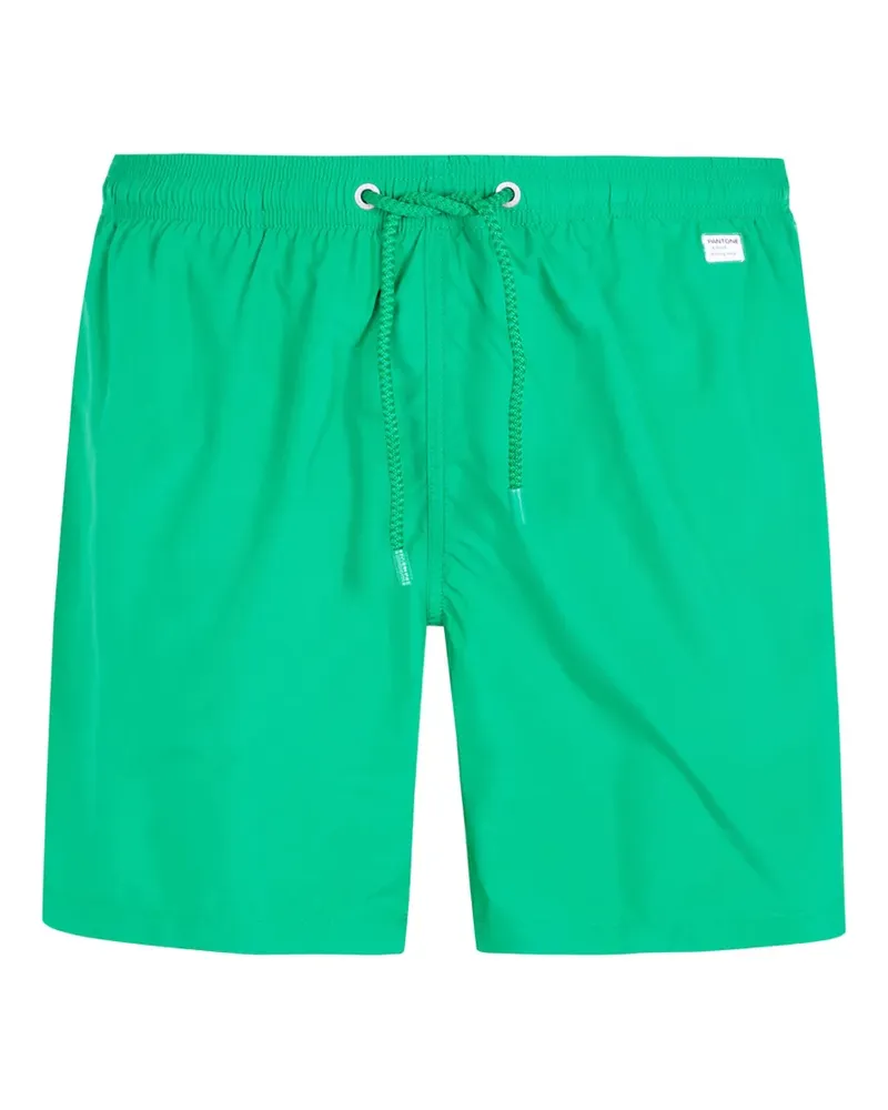MC2 Saint Barth x Pantone Lighting logo-patch drawstring swim shorts - Grün Grün