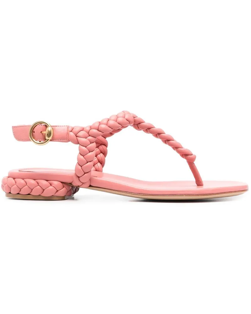 Gianvito Rossi Sandalen mit geflochtenen Riemen - Rosa Rosa
