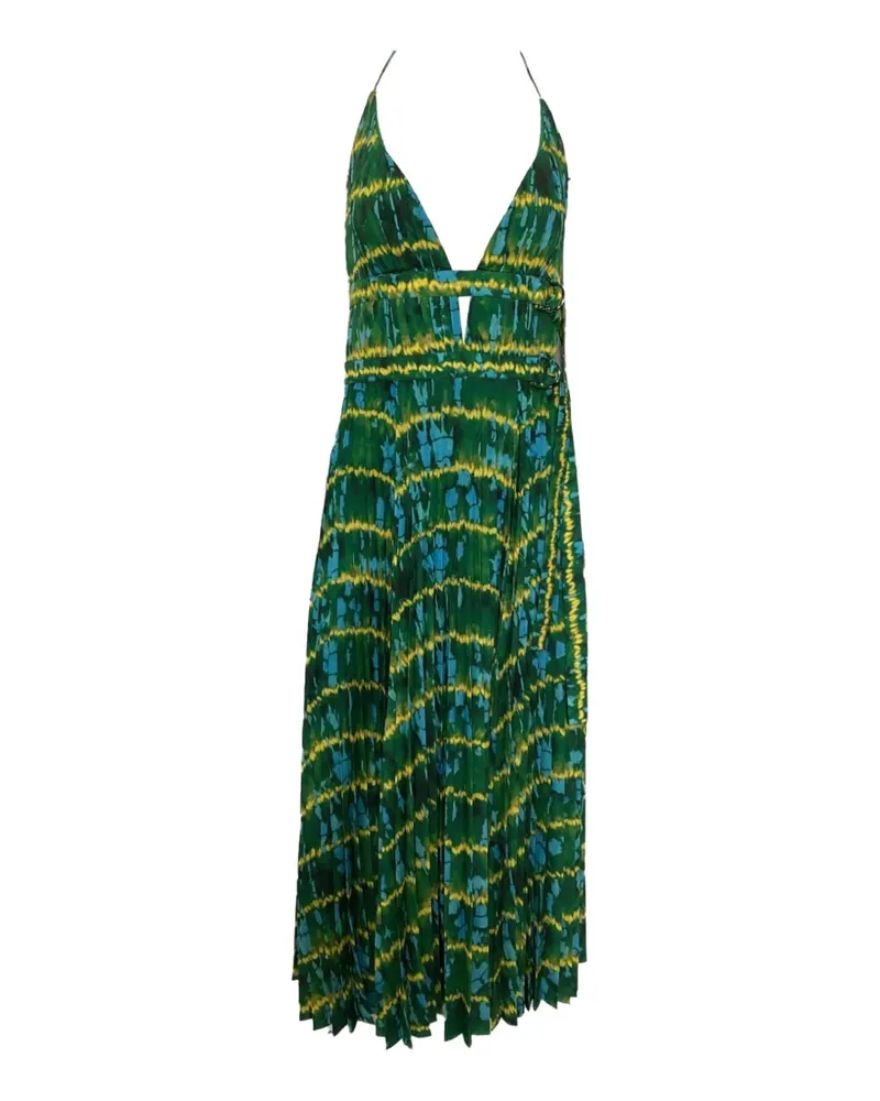 Altuzarra Winda pleated maxi dress - Grün Grün