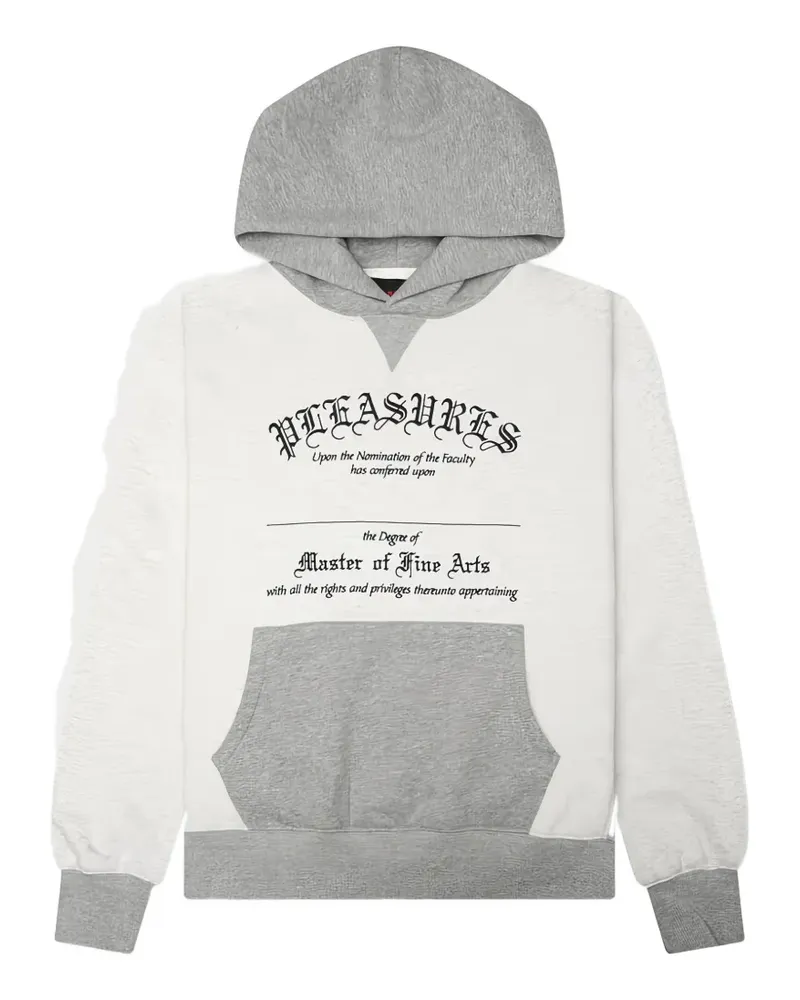 PLEASURES Degree Hoodie mit Text-Print - Grau Grau