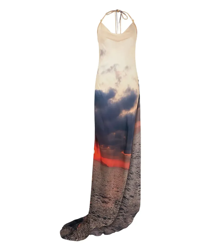 Roberto Cavalli Maxikleid mit abstraktem Print - Nude Nude