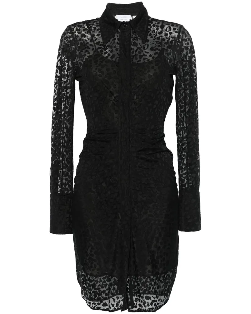 Alexander McQueen Devoré-Minikleid mit Leopardenmuster - Schwarz Schwarz
