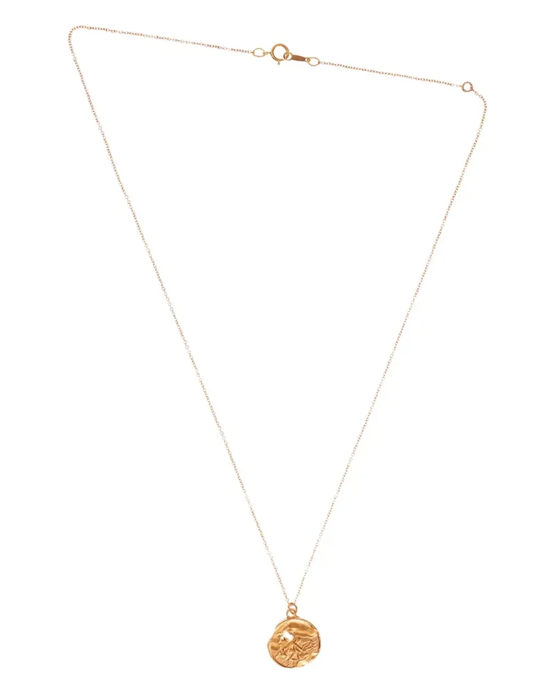 Alighieri The Aquarius Medallion Halskette - Gold Gold