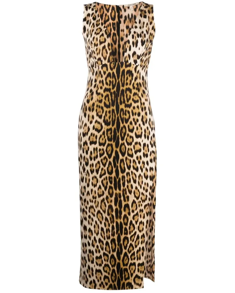 Roberto Cavalli Midikleid mit Leoparden-Print - Nude Nude