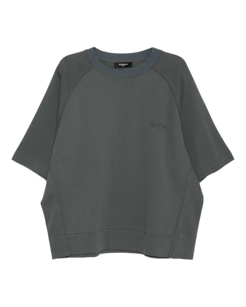 SONGZIO Ausgeblichenes T-Shirt aus Raglangemisch - Grau Grau