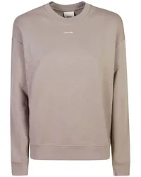 Calvin Klein Sweatshirt mit Logo-Print Grau