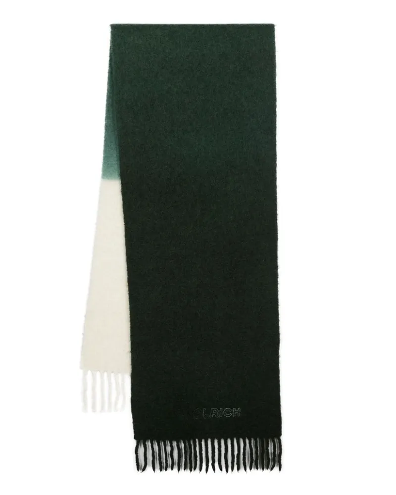 Woolrich Schal mit Logo-Stickerei - Grün Grün