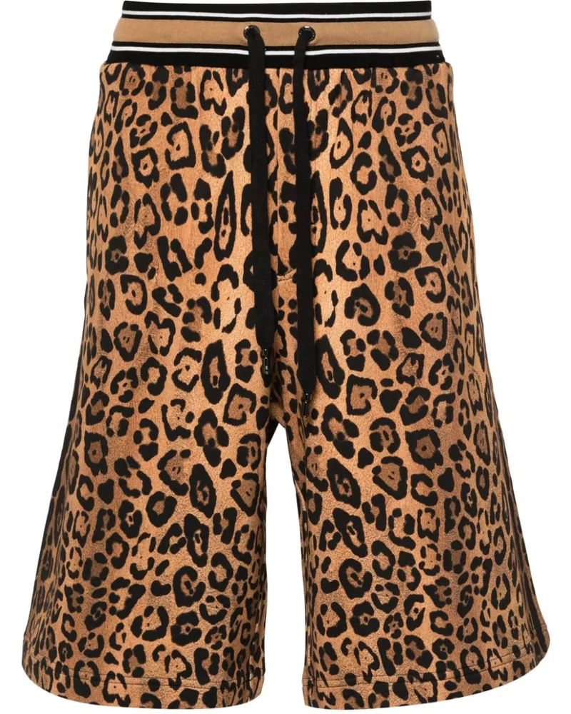 Dolce & Gabbana Sport-Shorts mit Geparden-Print - Braun Braun
