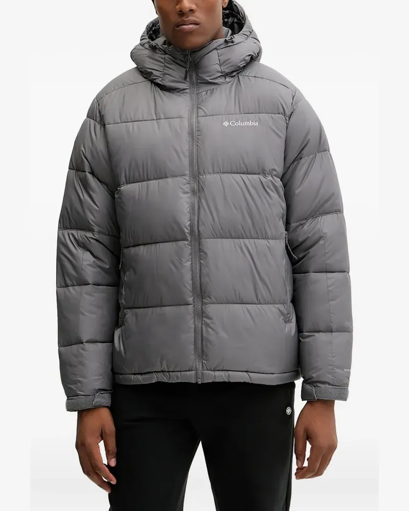Columbia Sportswear Company Pike Lake™ II hooded puffer jacket - Grau Grau