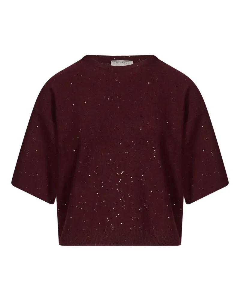 Antonelli Firenze Lucilla sequin-embellished short-sleeve sweater - Rot Rot