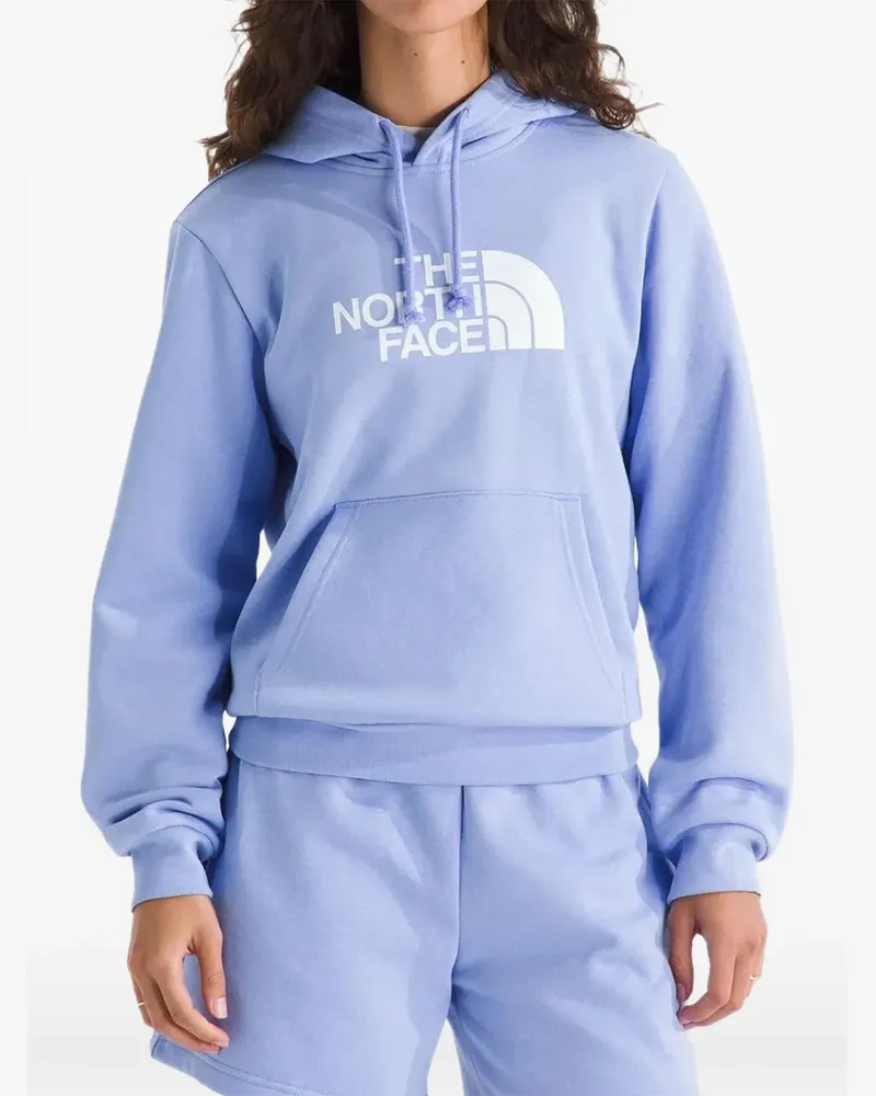 The North Face Evolution Box Half Dome Hoodie - Violett Violett