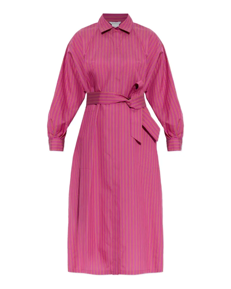 Max Mara belted striped dress - Rosa Rosa