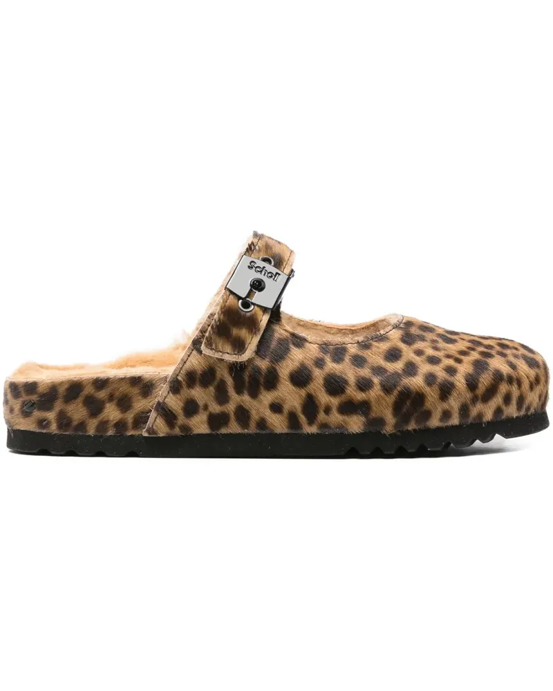 Scholl Karen logs - Braun Braun