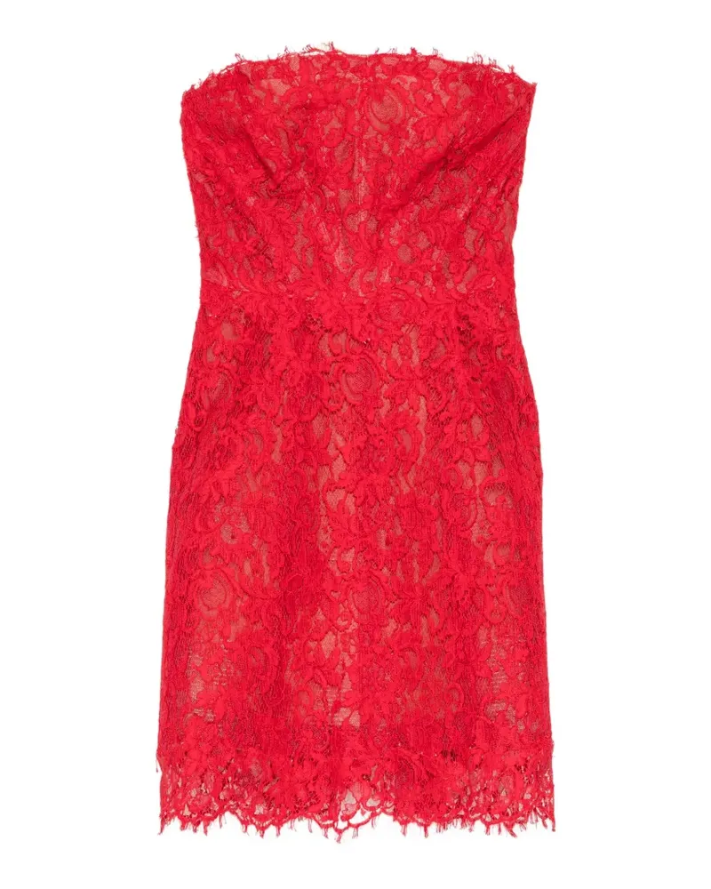 Monique Lhuillier strapless lace-embroidered dress - Rot Rot
