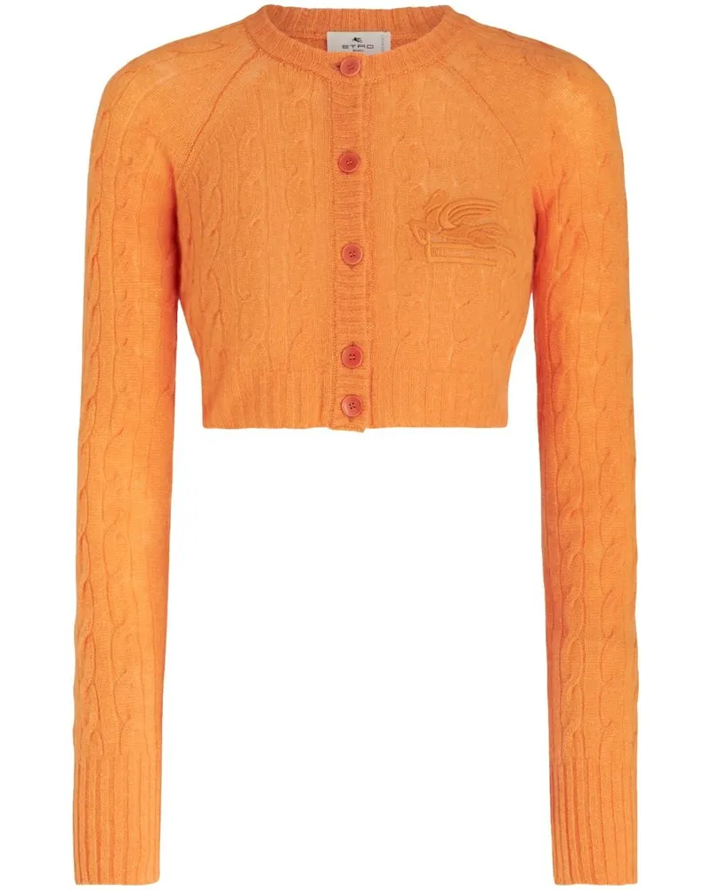 Etro Cardigan mit Zopfmuster - Orange Orange