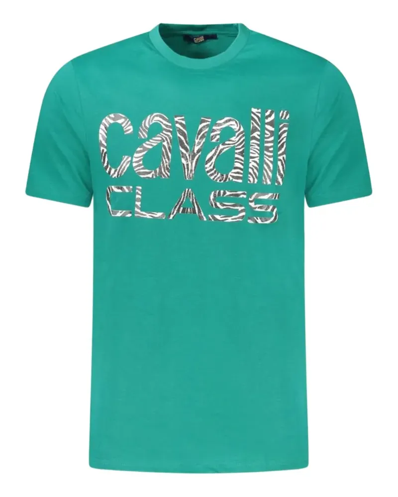 Roberto Cavalli zebra-striped logo T-shirt - Grün Grün