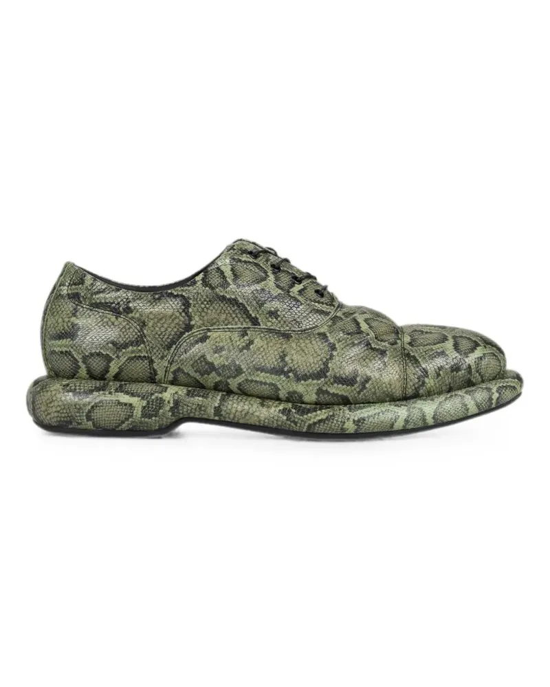 Clarks snake-effect Oxford shoes - Grün Grün