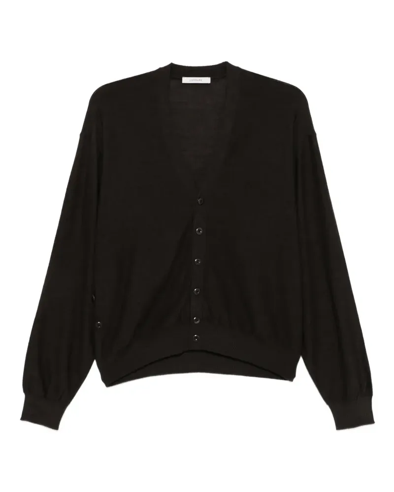 Christophe Lemaire Geknöpfter Cardigan - Braun Braun