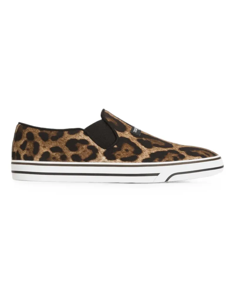 Dolce & Gabbana leo-print canvas DG Sailing sneakers - Nude Nude