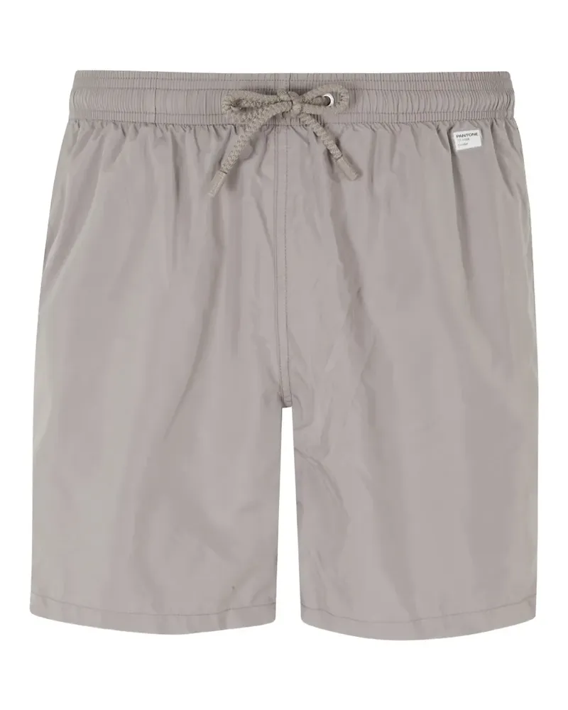 MC2 Saint Barth Lighting Pantone swim shorts - Grau Grau