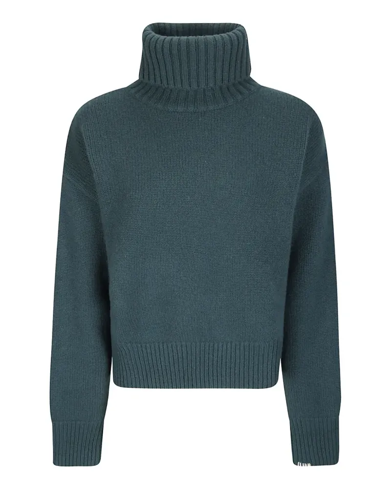 extreme cashmere nº434 Cropped Xtra Rollkragenpullover aus Kaschmir - Grün Grün