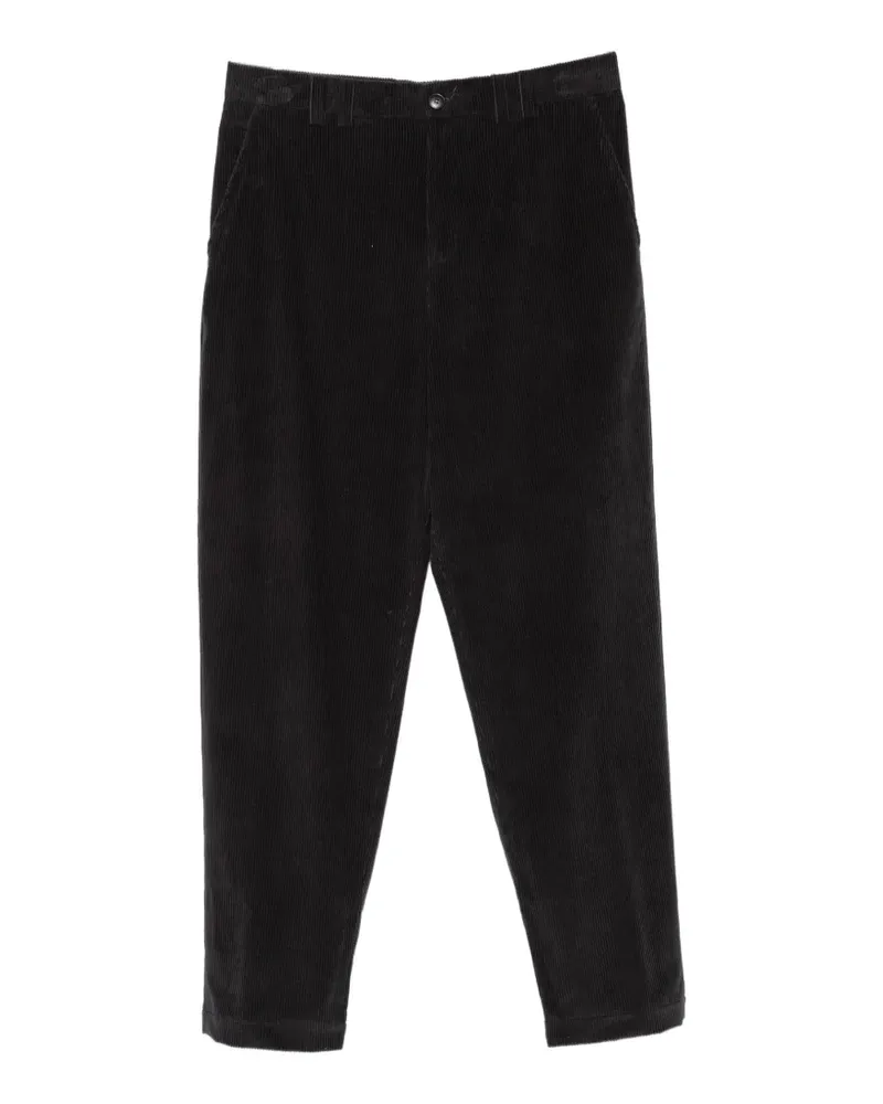 Canali Hose aus Cord - Blau Blau