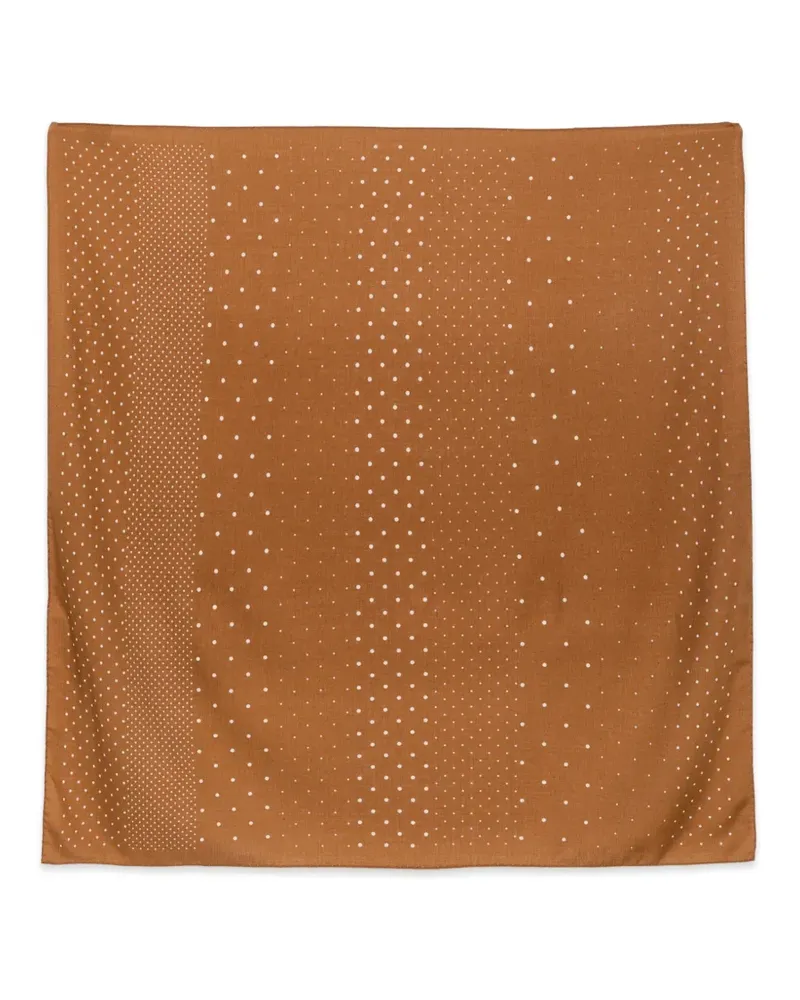 Destin polka-dot wool scarf - Braun Braun