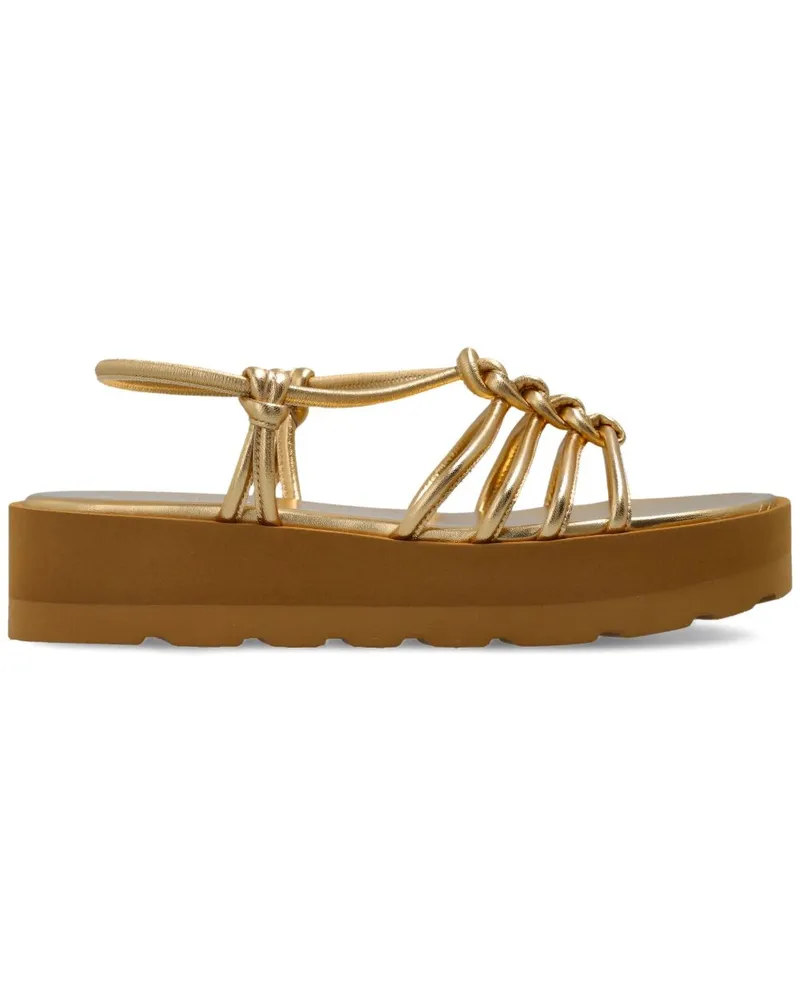 Gianvito Rossi Hebe Sandalen - Gold Gold
