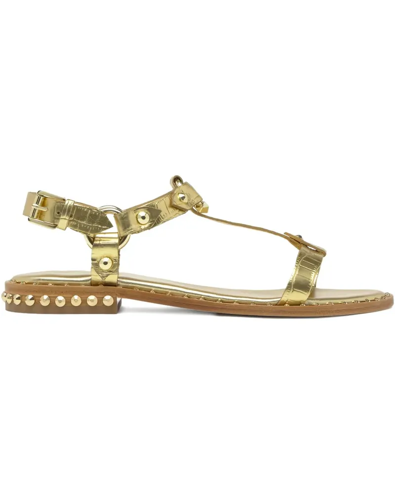 ash Patsy Bis Sandalen mit Nieten - Gold Gold