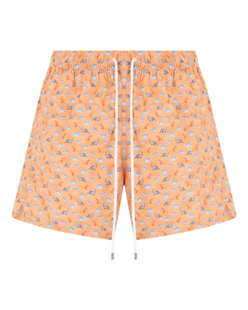Fedeli dinosaur-print swim shorts - Orange Orange