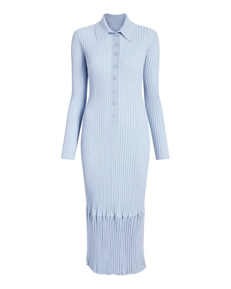 Proenza Schouler Geripptes Luiza Kleid - Blau Blau