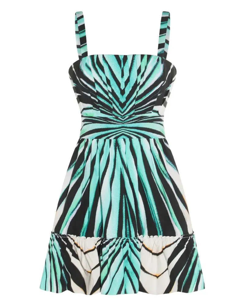 Roberto Cavalli Skaterkleid mit Zebra-Print - Blau Blau