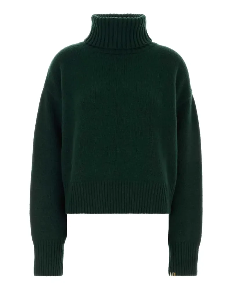 extreme cashmere nº434 Crop Xtra roll-neck cashmere sweater - Grün Grün