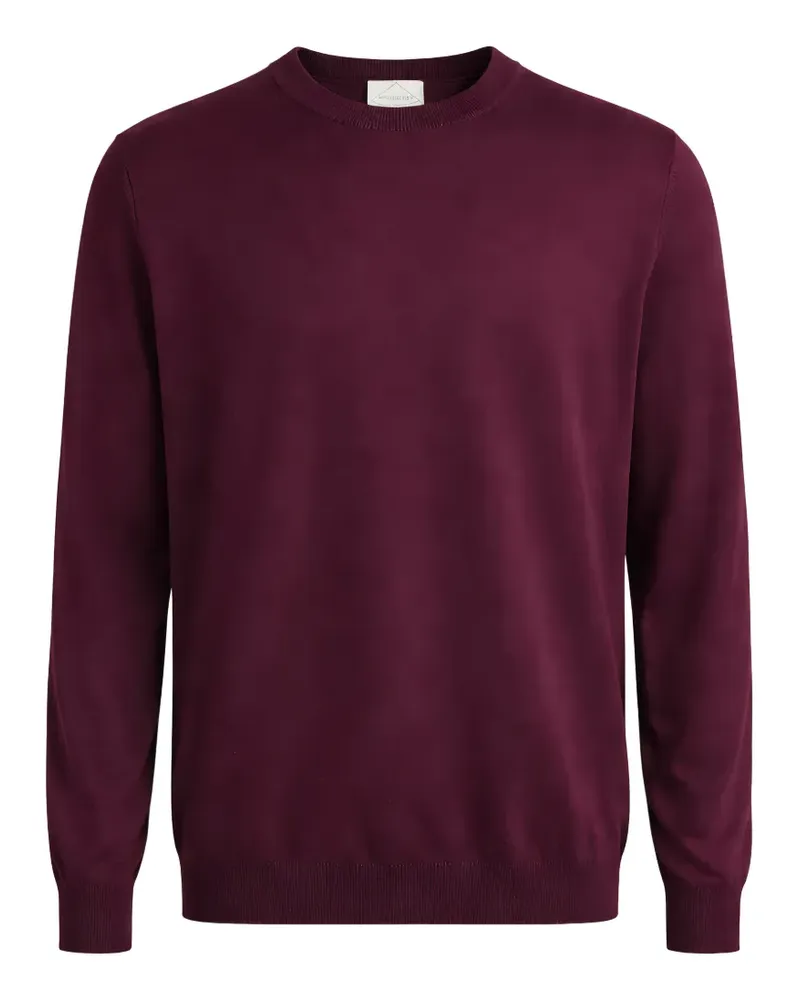 Pal Zileri crew-neck ribbed-trim sweater - Rot Rot