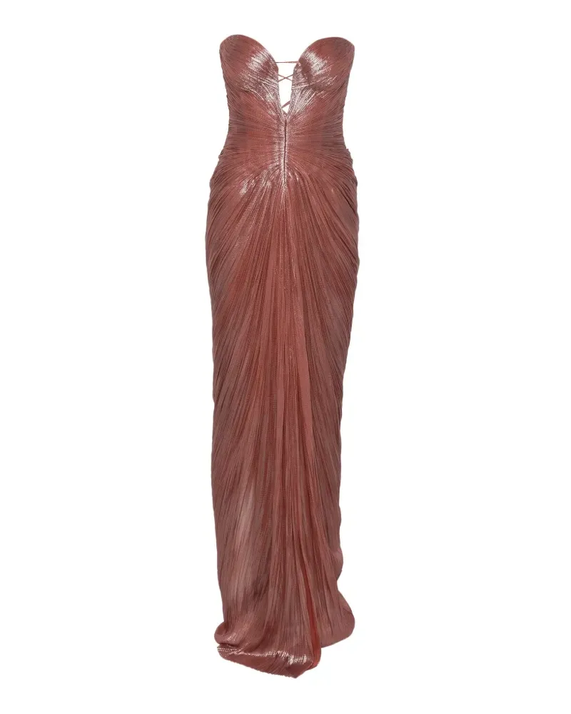 Maria Lucia Hohan Alessandra pleated strapless maxi dress - Braun Braun
